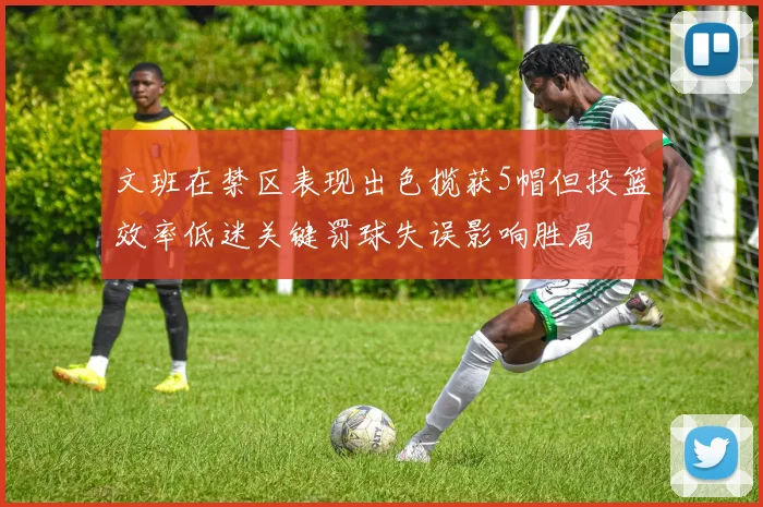 文班在禁区表现出色揽获5帽但投篮效率低迷关键罚球失误影响胜局